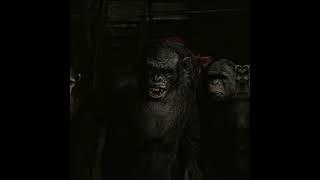 "Koba Weaker" - Planet of the Apes Edit | Melly Mike - Ballon D'or (Slowed)