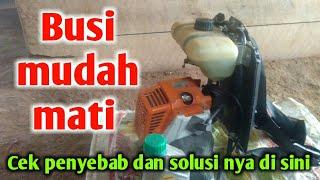 Busi mesin potong rumput cepat mati #Endriservice