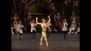 Vasiliev - La Bayadere - Golden Idol!!!