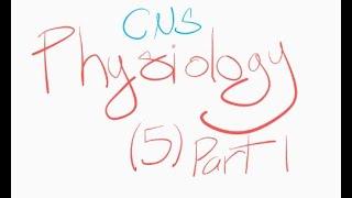 CNS - physiology - hypothalamus - lec 5 - part 1