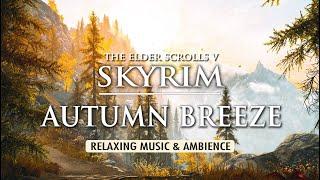 Autumn in Skyrim | Calming Ambient Music