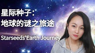 【揭秘】拼凑记忆碎片/Soul Memories：星际种子在地球轮回时有过哪些遭遇/Starseeds' Long Earth Journey 432Hz | 昴宿西 PleiadianXi