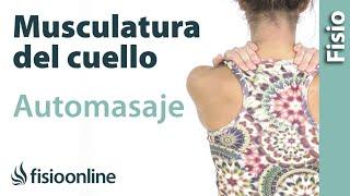 Automasaje para liberar la tensión de cuello, cervicales y de trapecios