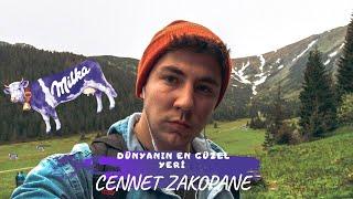 Doğa Harikası Olan Şehir !  | CENNET ZAKOPANE