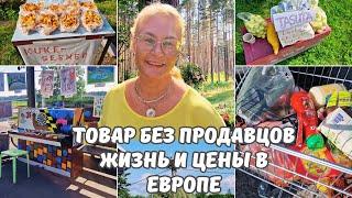 Жизнь в Европе.Продукты вдоль дороги.Пианино на остановке.Деревня в Эстонии.Цена на рыбу и продукты