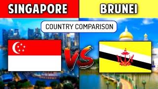 Singapore VS Brunei Country Comparison 2021