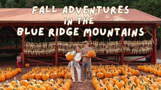 BLUE RIDGE MOUNTAINS  Cabin Stay, Burt’s Pumpkin Farm, BJ Reece Apple Orchard, & The Drive-In!