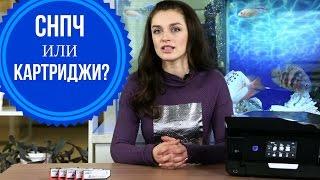 Что лучше: СНПЧ или картриджи?