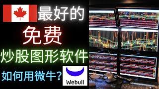 加拿大最好的免费炒股看图软件，我是怎么用Webull微牛软件的？从零开始教！