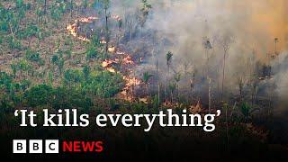 Amazon’s indigenous people hit by record forest fires in Brazil | BBC News