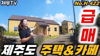 (급매) 유럽 아닌 제주 입니다 제주도의 숨겨진 보석 같은 곳이네요