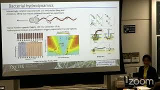 Out-of-equilibrium dynamics and organization of active filaments I - K. Wan (July 10, BSS 2024)