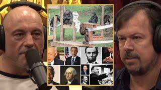 JRE: How Chimpanzees Choose Their LEADERS!