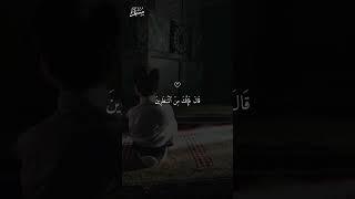 نشر صدقه جاریه است ️ برای دیدن مطالب بیشتر صفحه ما را دنبال کنید      #قرآن #قرأن #ماهر\_المعيقلي