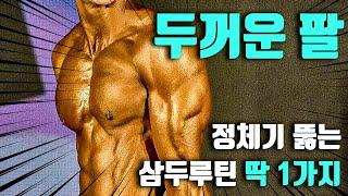 팔 크기에 정체가 생겼다면?