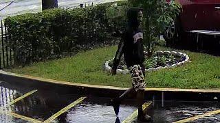 Surveillance video captures thief taking off in vehicle in Broward