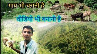 Mountain village life in uttarakhand | my village | Pahadi lifestyle | beautiful village vlog