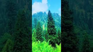 #nature #beautyofnature #nature #shangla #yakhtanga#video #2023