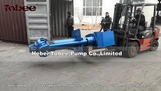 Tobee® 100mm vertical slurry pump