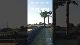 제주도 서쪽에 골때리는 공인중개사 4