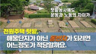 전원주택 텃밭, 애물단지가 아닌 노후의 삶에 동반자가 되려면 어느 정도가 적당할까요.