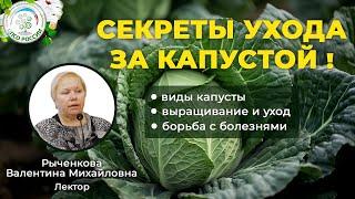 Полное руководство по выращиванию, уходу и борьбе с болезнями разных видов капусты в одном видео