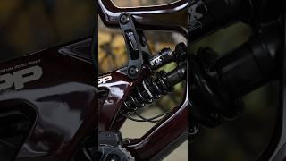 Santa Cruz V10 Suspension Linkage 