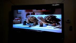 Comcast slowsky "fast" commercial