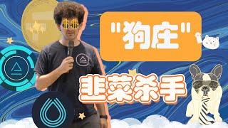 币圈马斯克,韭菜杀手,ftx创始人SBF,华尔街交易员三年疯狂收割一百亿