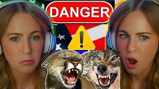 Americas Most DANGEROUS Backyard Animals | Irish Girl Reaction