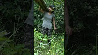 urvival Girl, Building a Modern Private House One the Best in Jungle for Living Alone #camping #sur