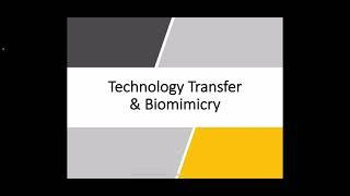 S3 Technology Transfer and Biomimicry