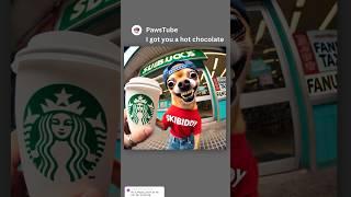 Chihuahua helps a lady... kinda  Sound: ​⁠@VuxVux #memes