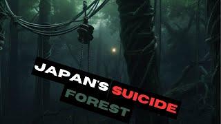 The secrets of Suicide Forest in Japan