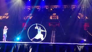 Female Cyr Wheel Circus Act Acrobatics Elegant Sexy Gymnastics Event Hire Spinning