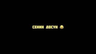 tut beka|  вайн-сенин досун| ТУТ БЕКА