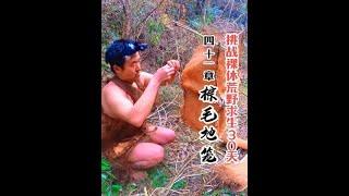 26日上，棕毛藤条制作折叠式捕鱼地笼 |求生武陵山（41）#野外生存 #荒野求生 #户外捕鱼 #野外美食 #户外露营