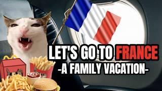 CAT MEMES: LETS GO TO FRANCE!