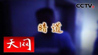 《天网》 暗道 | CCTV社会与法