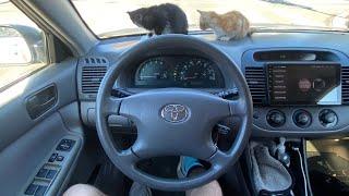 2003 Toyota Camry ASMR RELAXING POV BABY CAT TEST DRIVE