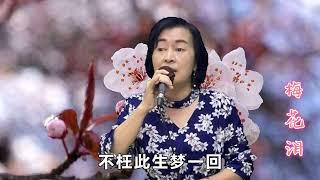 梅花泪   //   MEI HUA LEI   [ Plum Blossom Tears ]