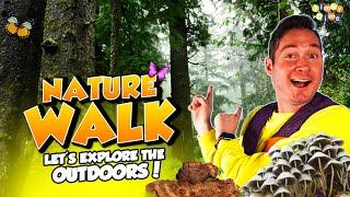 Let's Go on a Nature Walk [ Outdoor Education ]  Virtual Nature Walk for Kids with Jimmy Dime Time