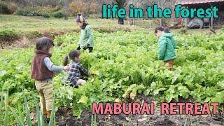 Self-Sufficiency, Forest Life, Rural Japan, Radish, nameko mushroom, soybean harvest Raw rice bread