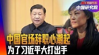 中国官场辞职心潮起，习近平出于什么原因，不准妄议中央、不准唱衰经济？为了习近平大打出手；孙雯被捕是必然？ ｜中国研究院（王军涛 ，李伟东，冯胜平，胡平，黄兆平）