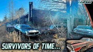 American Time Capsule: Abandoned Dealership Collier Motors AMC Has 200+ Classic Cars! (FULL TOUR)