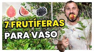 7 FRUTÍFERAS EM VASO - COMO PLANTAR E CULTIVAR