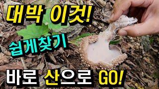 대박 이것! 쉽게 찾기 바로 산으로 GO!