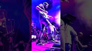 Comfortably Numb #guitarsolo  solo live by Elia Garutti #comfortablynumb #davidgilmour #shorts