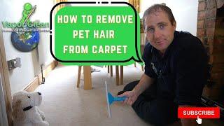 How to remove pet hair from carpet