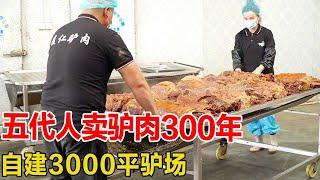 300年来五代人卖驴肉，2口大锅卤5头驴，自建3000平养驴场，太震撼！【好食勇哥】